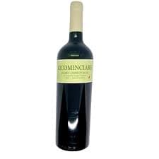 RICOMINCIARE MALBEC 2021 750  ML