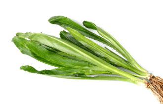 CULANTRO FRESCO X LIBRAS