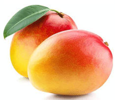 MANGO FRESCO UNIDAD