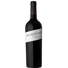 RICOMINCIARE ALTISIMO MALBEC 2020 750 ML