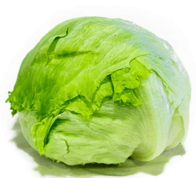 LECHUGA NACIONAL X LIBRAS