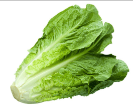 LECHUGA ROMANA FRESCA X LIBRAS