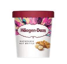 HAAGEN DAZS MACADAMIA NUT BRITTLE 4.2 OZ